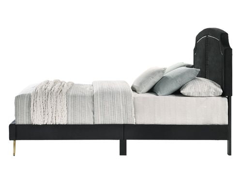 renell ek bed, black velvet