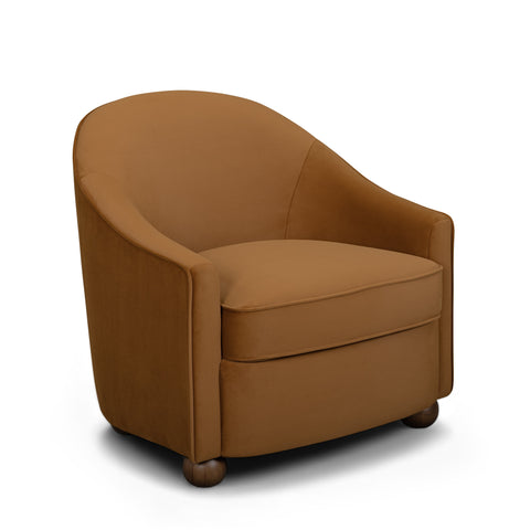 Delphine Chantilly Performance Velvet Accent Chair - image 1